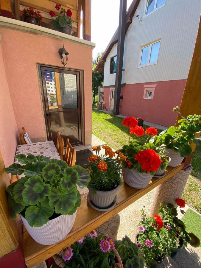 Apartman Kaljevic Apartment ชาเบลียค ภายนอก รูปภาพ